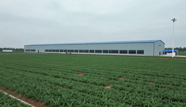 种植管理数字化转型推动农产品收购服务升级